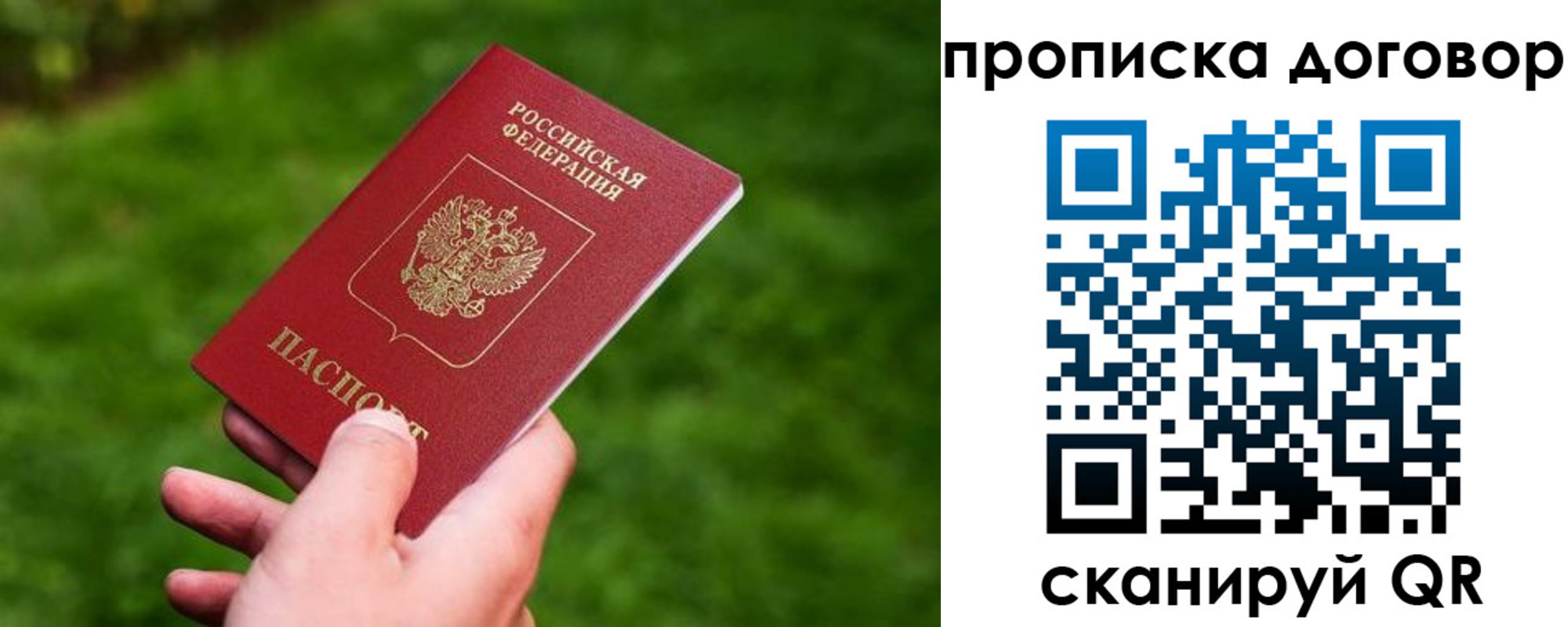 прописка гарантия в Кукморе